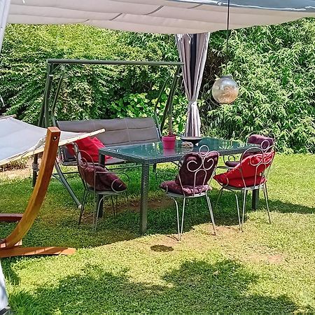 Camping Under The Walnut In Your Own Tent On A Shared Lot And Shared Bathroom Lublaň Exteriér fotografie