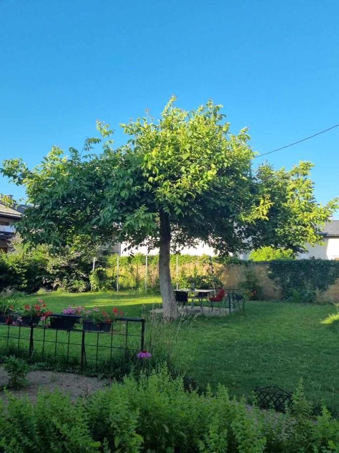 Camping Under The Walnut In Your Own Tent On A Shared Lot And Shared Bathroom Lublaň Exteriér fotografie