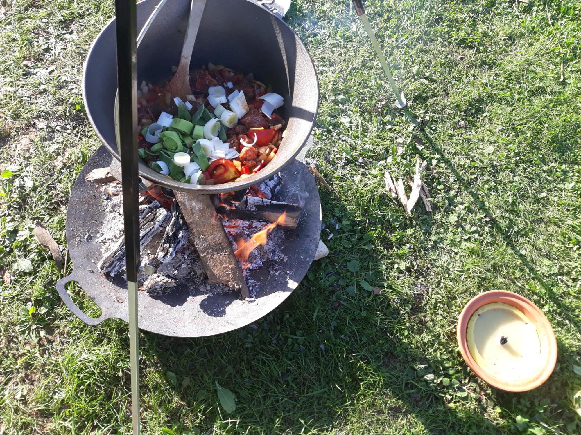 Camping Under The Walnut In Your Own Tent On A Shared Lot And Shared Bathroom Lublaň Exteriér fotografie