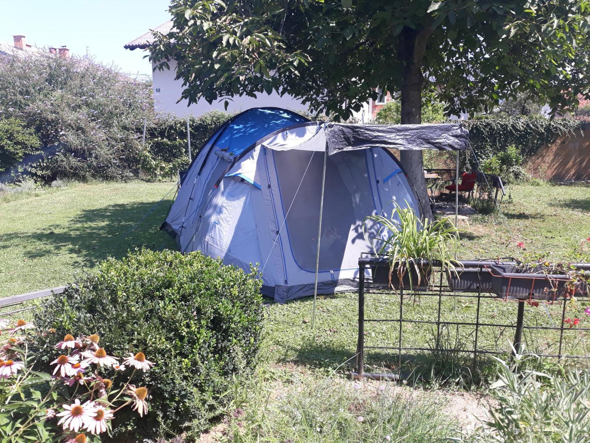 Camping Under The Walnut In Your Own Tent On A Shared Lot And Shared Bathroom Lublaň Exteriér fotografie